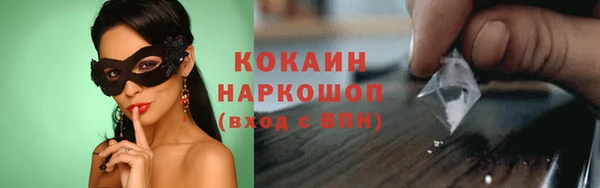 шишки Арсеньев