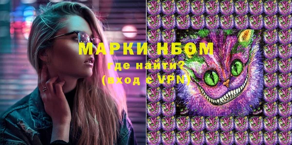 шишки Арсеньев