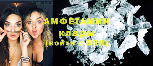 шишки Арсеньев