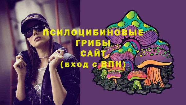 шишки Арсеньев