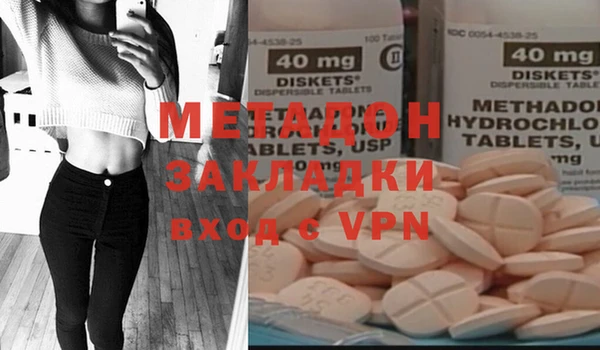 шишки Арсеньев