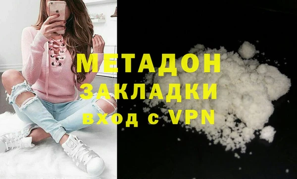 шишки Арсеньев