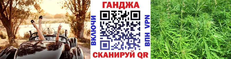 как найти наркотики  Бакал  Бошки марихуана White Widow 